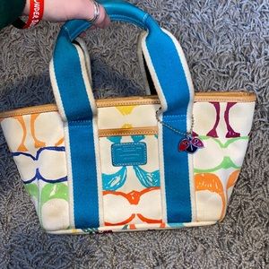 Small Colorful Coach Bag
